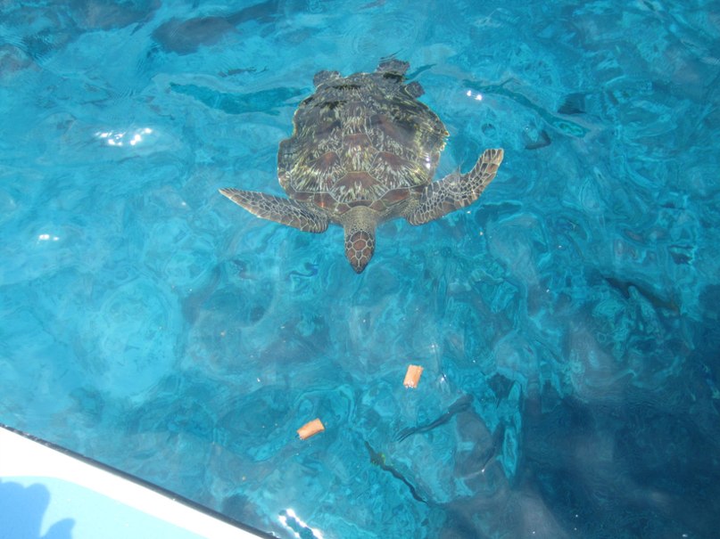 Анна Белоснежка | Москва