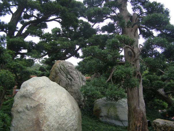 №93, Егор Ткаченко, 27 лет, Владивосток №93, Егор Ткаченко, 27 лет, Владивосток