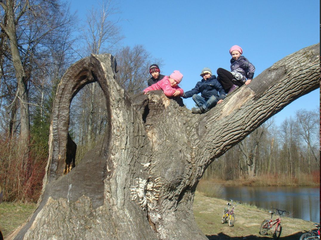 Олег Федяев | Санкт-Петербург