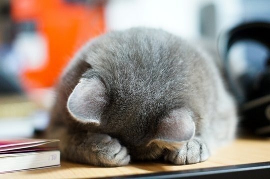 Николай Манохин | Новосибирск