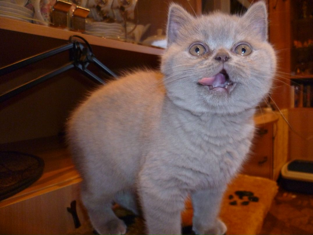 Танюшка Прозорова | Выборг