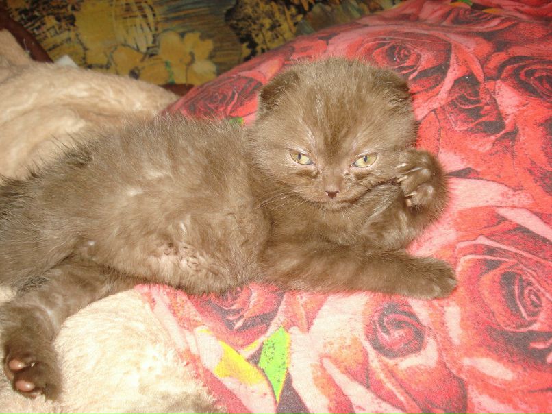 Вячеслав Журавлёв | Бийск