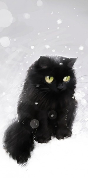 №74, Алексей Целищев, Санкт-Петербург №74, Алексей Целищев, Санкт-Петербург