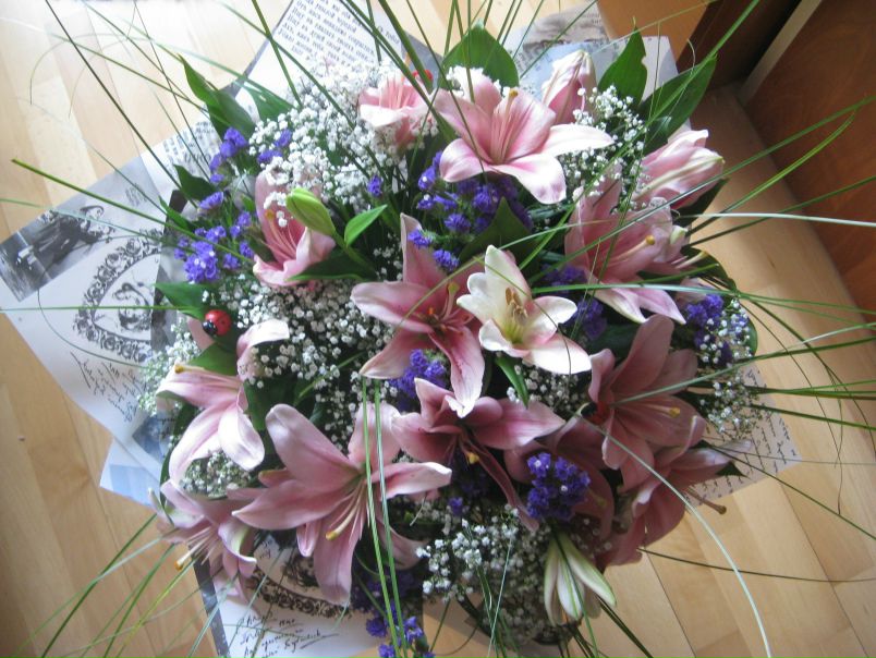 №125, Виктория Каменщикова, 40 лет, Санкт-Петербург №125, Виктория Каменщикова, 40 лет, Санкт-Петербург