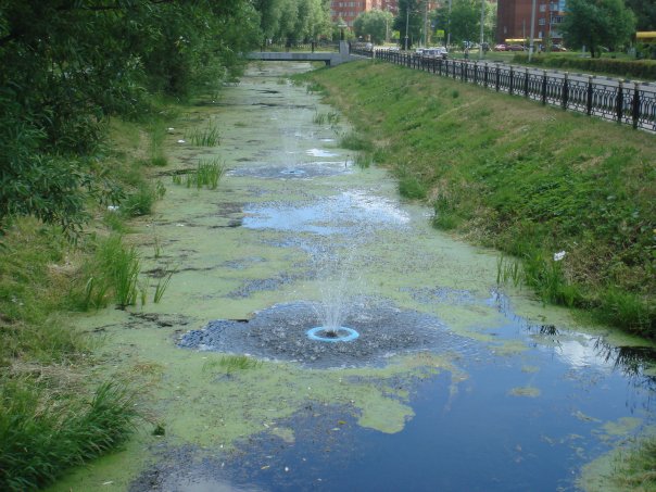 №111, Мария Ботяновская, Дмитров, Россия №111, Мария Ботяновская, Дмитров, Россия