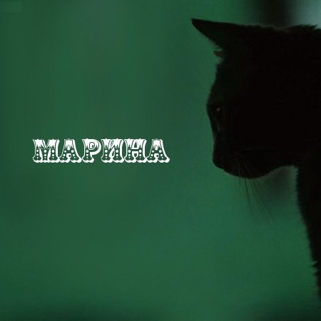 Марина Горбунова | Череповец