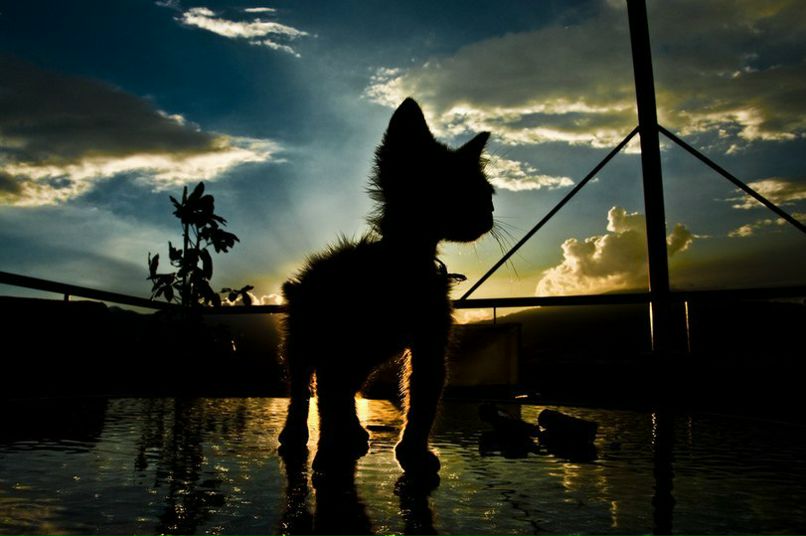 Ирина Зайцева | Екатеринбург