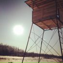 №12, Марина Колонтарева, 11.3.1989, 37 лет, Санкт-Петербург, Россия №12, Марина Колонтарева, 11.3.1989, 37 лет, Санкт-Петербург, Россия