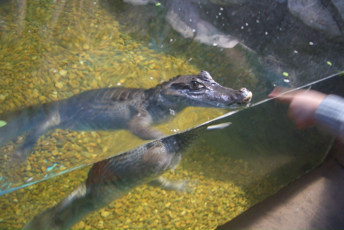 Андрей Колчак AND | Москва