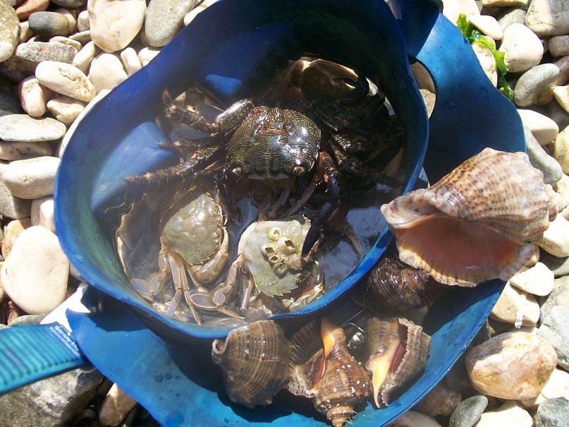 Женя Корень | Кривой Рог