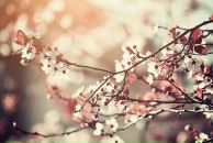 №2 Александр Веселов 30.01.1987: профиль, фото, статус - ВКонтакте