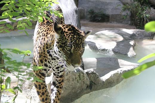 Надежда Ухарская | Петропавловск-Камчатский