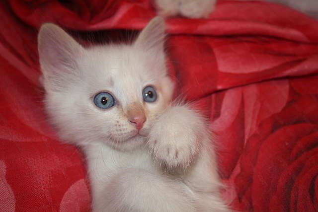 Зоя Кондрашова | Владивосток