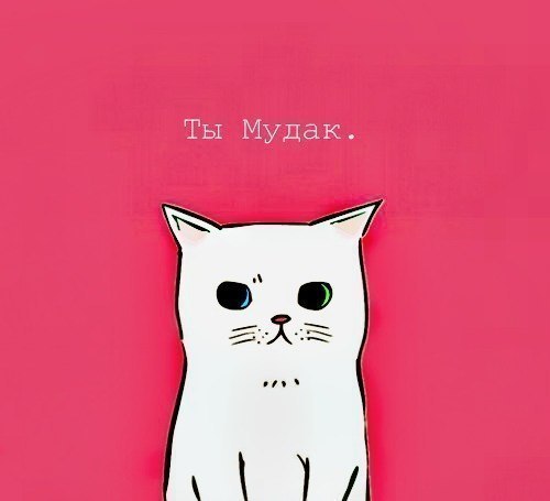 Дарья Калугина | Минск