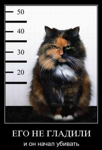 №27, Ирина, 19 лет, Белая Церковь №27, Ирина, 19 лет, Белая Церковь