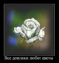 №23 Алексей Петров-Водкин 06.04.1987: профиль, фото, статус - ВКонтакте