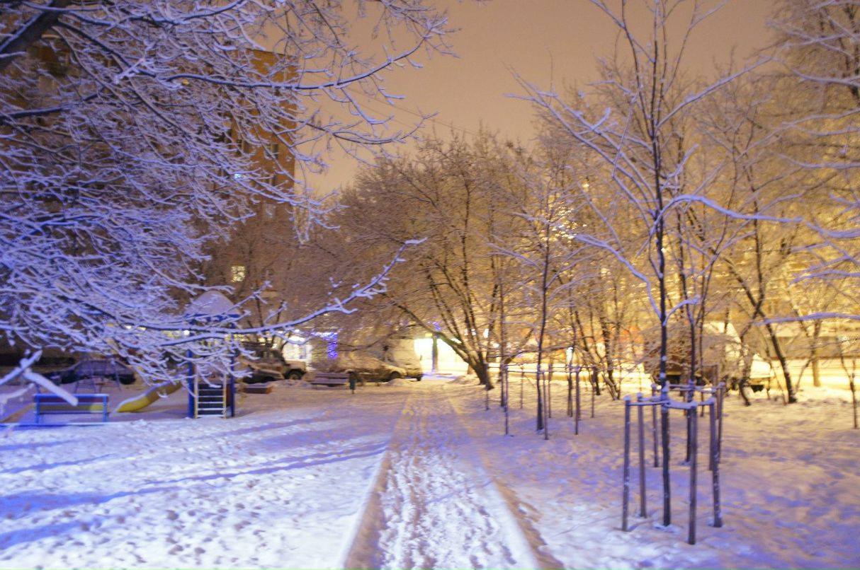 Татьяна Петрова | Москва
