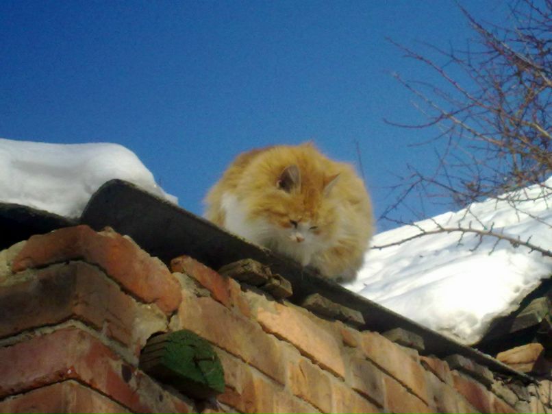 Владимир Юдинцев | Бахмут / Артемовск