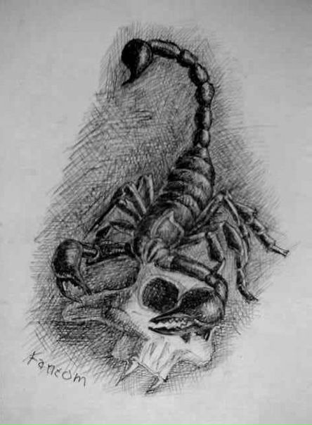 №111, Владимир Трубачев, Новосибирск №111, Владимир Трубачев, Новосибирск