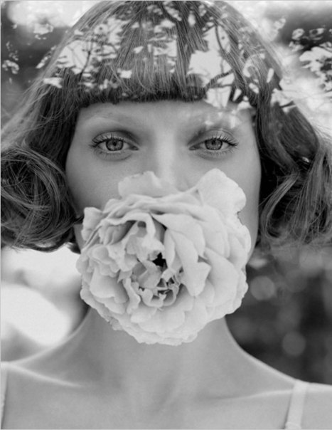 Настя Midorimono | 