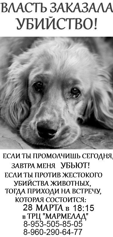 Екатерина Бутенина | Вологда