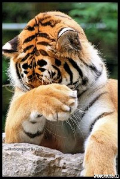 №177, Кирилл Семенов, 34 года, Мценск №177, Кирилл Семенов, 34 года, Мценск