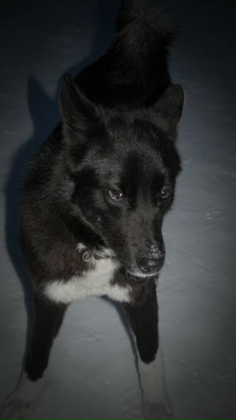 №62, Бодрый Шар, Мурманск №62, Бодрый Шар, Мурманск