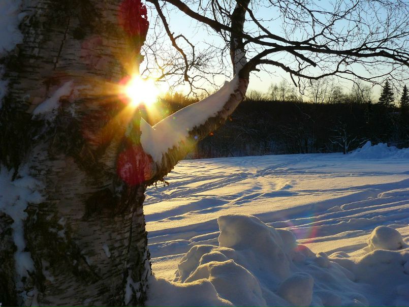 №15, Елисей Кузякин, 29 лет, Oulu №15, Елисей Кузякин, 29 лет, Oulu