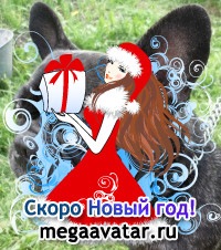 №84, Максим-И-Соня Бритвины, Сокол №84, Максим-И-Соня Бритвины, Сокол