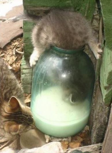 №55, Лёша Ракеть, 36 лет, Минск №55, Лёша Ракеть, 36 лет, Минск