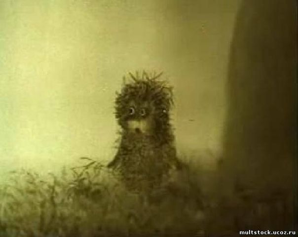 №24, Ксюша Ведерникова №24, Ксюша Ведерникова