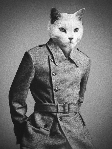 №36, Владимир Коробка, 35 лет №36, Владимир Коробка, 35 лет