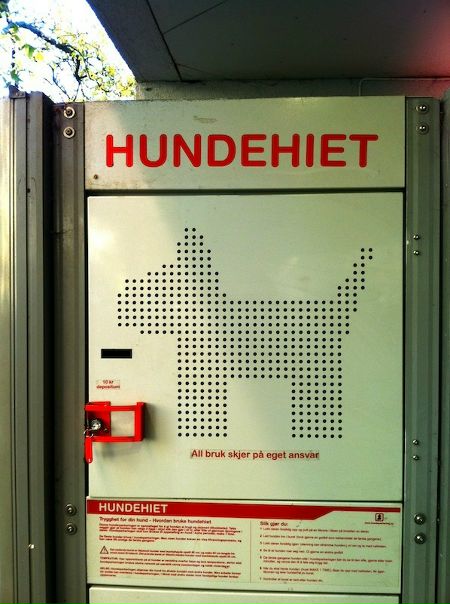 №93, Ядреный Феня, 35 лет, Калининград №93, Ядреный Феня, 35 лет, Калининград