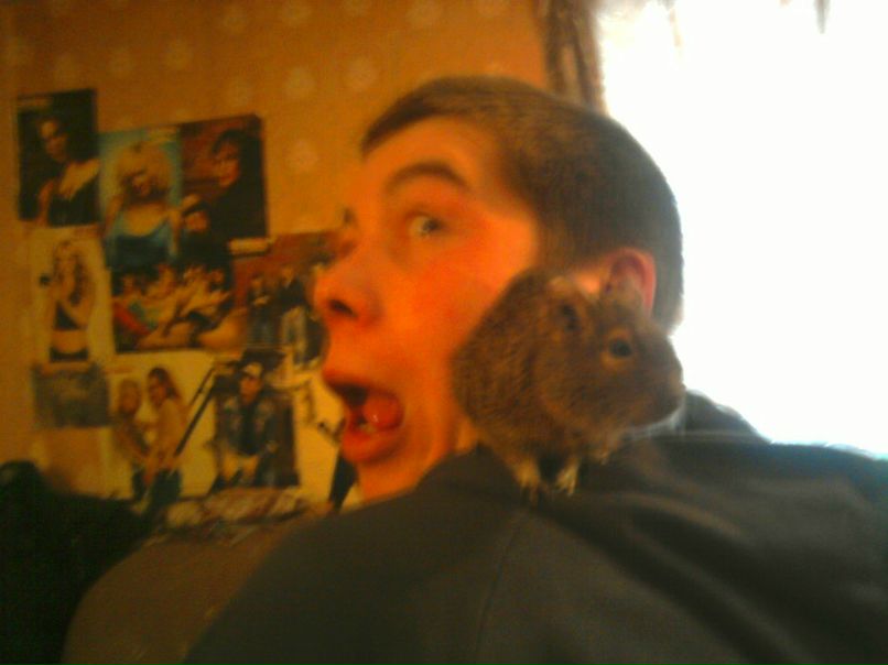 Павел Новоселов | Санкт-Петербург