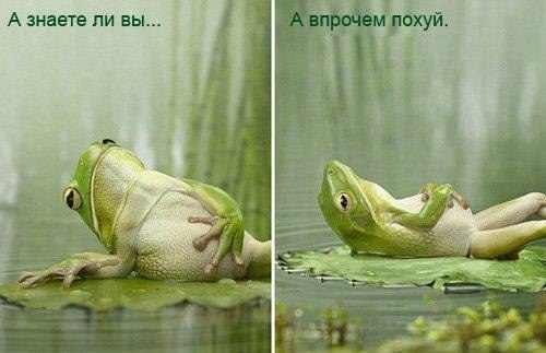 Александр Мацуев | Апрелевка