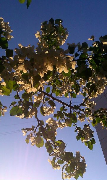 №107, Екатерина Бонч-Бруевич, 50 лет, Санкт-Петербург №107, Екатерина Бонч-Бруевич, 50 лет, Санкт-Петербург