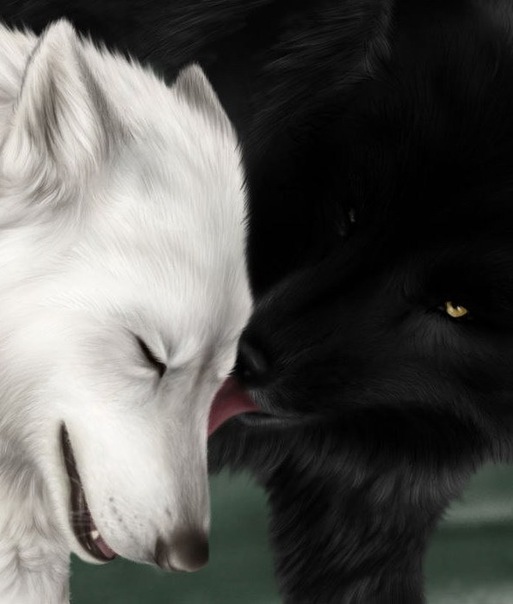 №76, Евгения Цакирова, 46 лет, Элиста №76, Евгения Цакирова, 46 лет, Элиста