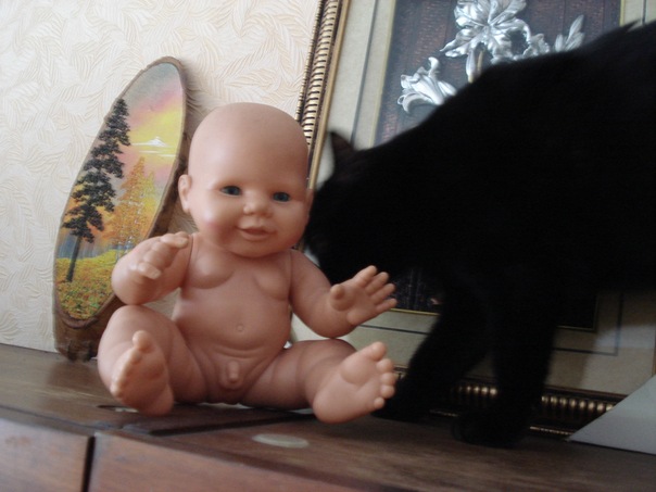 №2, Александр Литвинчев №2, Александр Литвинчев