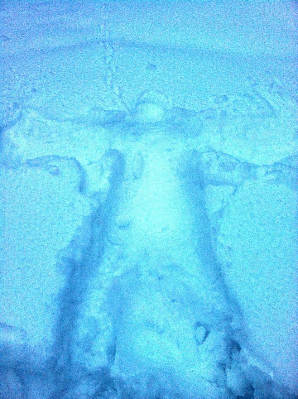 Светлана Роддэ | Москва