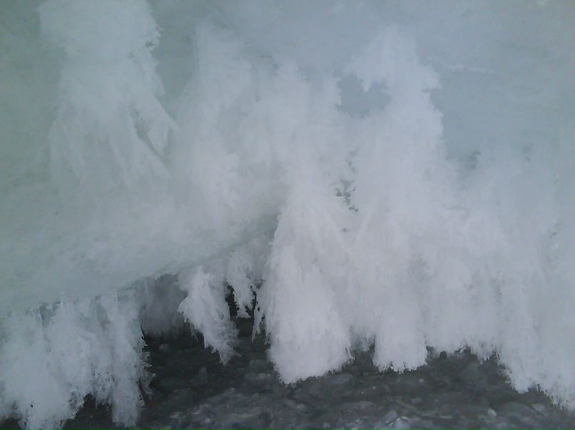 Сергей Травкин Суслик-путешественник))) | Улан-Удэ