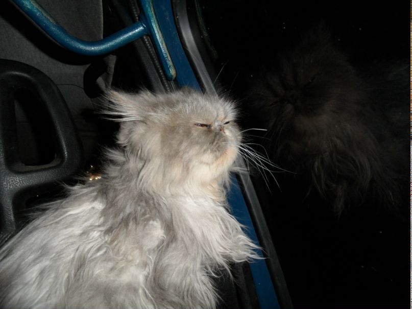 Николай Гусев | Нижний Новгород