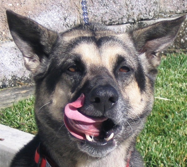 №74, Marina Grigorova №74, Marina Grigorova