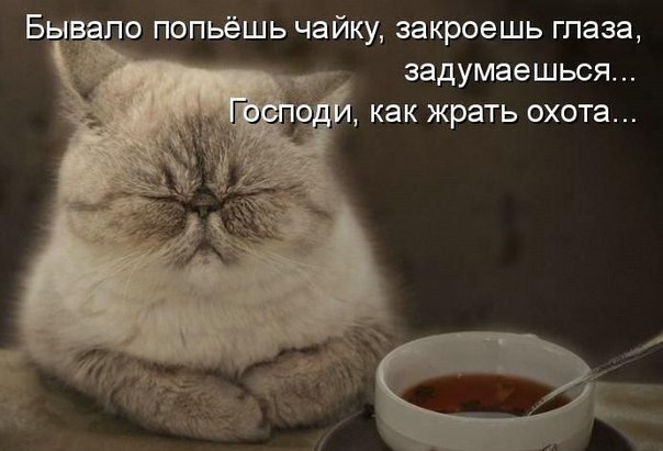 Сергей Потапов \../ ('-') \../ | Саранск