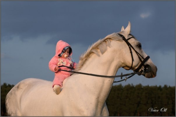 Дарья Кривова | Ярославль
