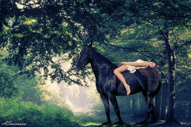 Владимир Ведерников | Санкт-Петербург