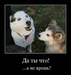 Карина Абат фотография #6 (источник - https://vk.com/id155459760)