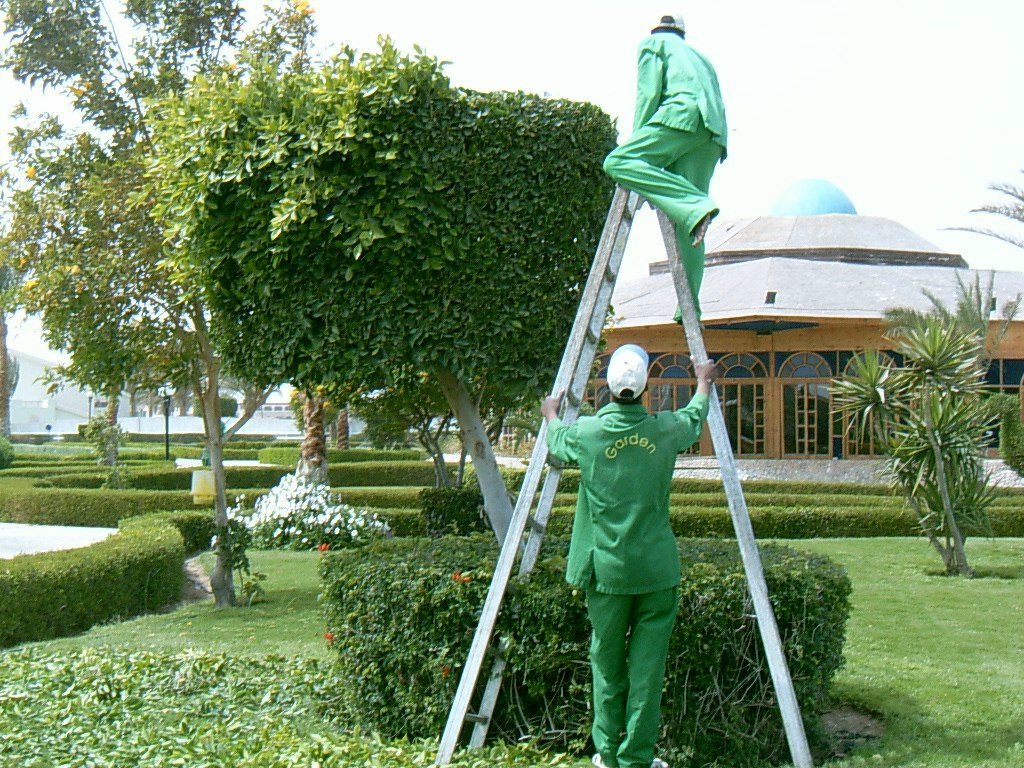 Макс Ковалёв | Киев