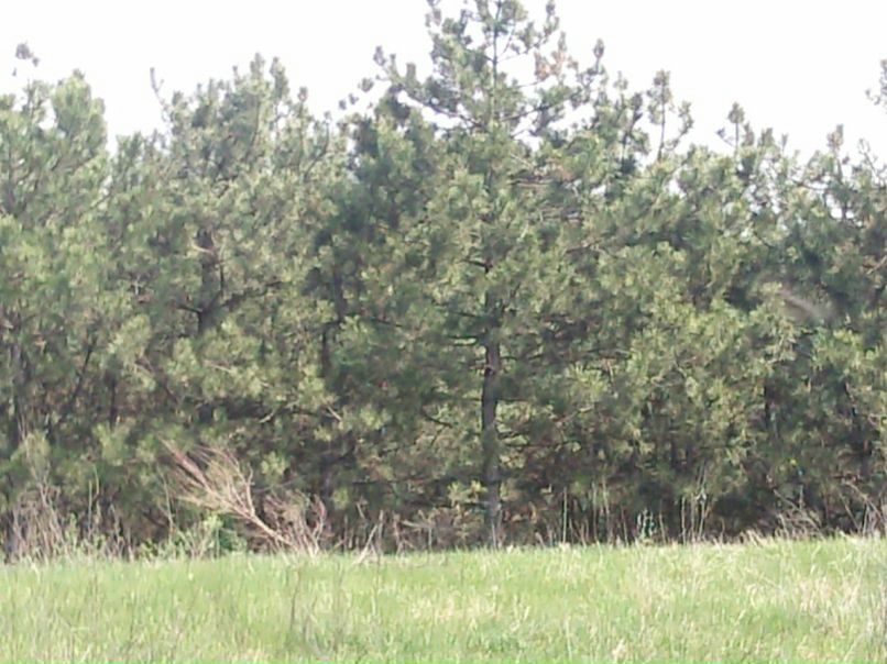 №50, Роман Кудюкин, 40 лет, Одесса №50, Роман Кудюкин, 40 лет, Одесса