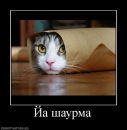 Фотография Москалюка Коли