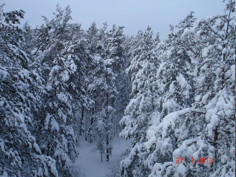 Рома Дурдом | Киев